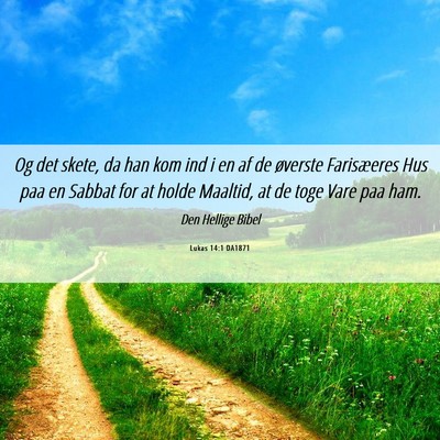 Picture 06 - Lukas 14:1 DA1871 - Og det skete, da han kom ind i en af de øverste - Bible Verse Picture