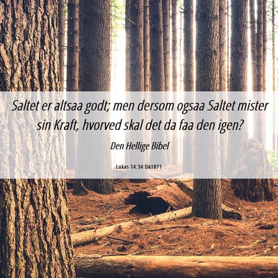 Picture 06 - Lukas 14:34 DA1871 - Saltet er altsaa godt; men dersom ogsaa Saltet - Bible Verse Picture