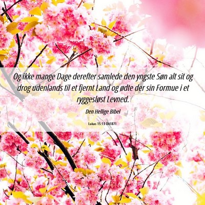 Picture 06 - Lukas 15:13 DA1871 - Og ikke mange Dage derefter samlede den yngste - Bible Verse Picture