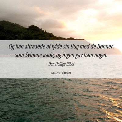 Picture 06 - Lukas 15:16 DA1871 - Og han attraaede at fylde sin Bug med de Bønner, - Bible Verse Picture