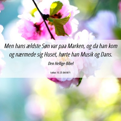 Picture 06 - Lukas 15:25 DA1871 - Men hans ældste Søn var paa Marken, og da han - Bible Verse Picture