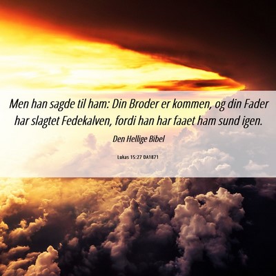 Picture 06 - Lukas 15:27 DA1871 - Men han sagde til ham: Din Broder er kommen, og - Bible Verse Picture