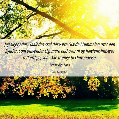 Picture 06 - Lukas 15:7 DA1871 - Jeg siger eder: Saaledes skal der være Glæde i - Bible Verse Picture