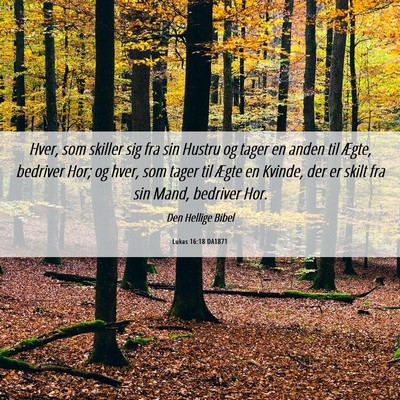 Picture 06 - Lukas 16:18 DA1871 - Hver, som skiller sig fra sin Hustru og tager en - Bible Verse Picture