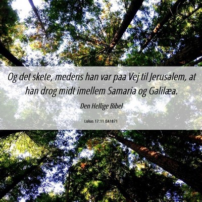 Picture 06 - Lukas 17:11 DA1871 - Og det skete, medens han var paa Vej til - Bible Verse Picture
