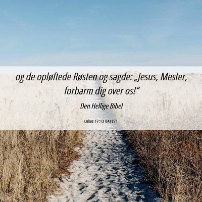 Picture 06 - Lukas 17:13 DA1871 - og de opløftede Røsten og sagde: „Jesus, - Bible Verse Picture