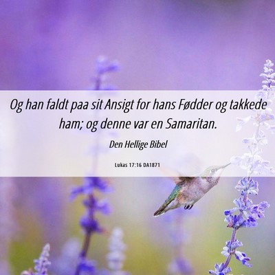Picture 06 - Lukas 17:16 DA1871 - Og han faldt paa sit Ansigt for hans Fødder og - Bible Verse Picture