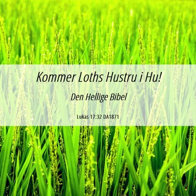 Picture 06 - Lukas 17:32 DA1871 - Kommer Loths Hustru i - Bible Verse Picture