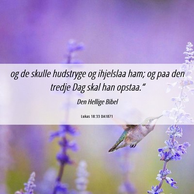 Picture 06 - Lukas 18:33 DA1871 - og de skulle hudstryge og ihjelslaa ham; og paa - Bible Verse Picture