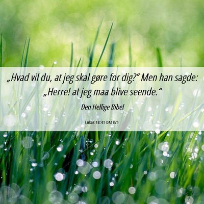 Picture 06 - Lukas 18:41 DA1871 - „Hvad vil du, at jeg skal gøre for dig?“ Men - Bible Verse Picture