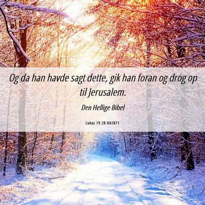 Picture 06 - Lukas 19:28 DA1871 - Og da han havde sagt dette, gik han foran og drog - Bible Verse Picture
