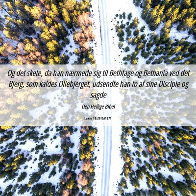 Picture 06 - Lukas 19:29 DA1871 - Og det skete, da han nærmede sig til Bethfage og - Bible Verse Picture