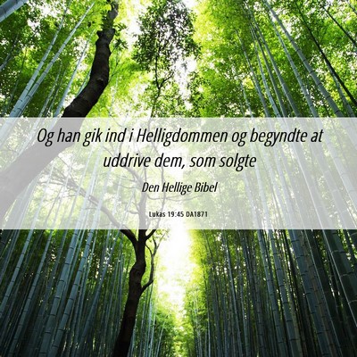 Picture 06 - Lukas 19:45 DA1871 - Og han gik ind i Helligdommen og begyndte at - Bible Verse Picture