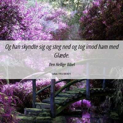 Picture 06 - Lukas 19:6 DA1871 - Og han skyndte sig og steg ned og tog imod ham - Bible Verse Picture