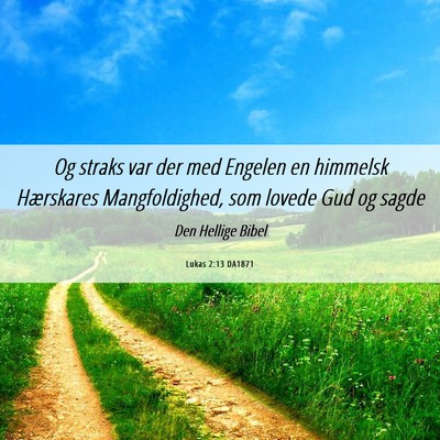 Picture 06 - Lukas 2:13 DA1871 - Og straks var der med Engelen en himmelsk - Bible Verse Picture