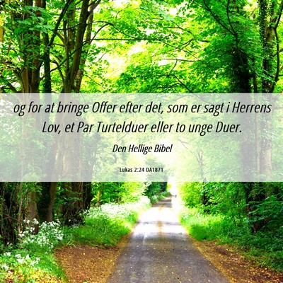 Picture 06 - Lukas 2:24 DA1871 - og for at bringe Offer efter det, som er sagt i - Bible Verse Picture