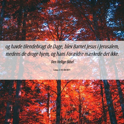 Picture 06 - Lukas 2:43 DA1871 - og havde tilendebragt de Dage, blev Barnet Jesus - Bible Verse Picture