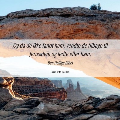 Picture 06 - Lukas 2:45 DA1871 - Og da de ikke fandt ham, vendte de tilbage til - Bible Verse Picture