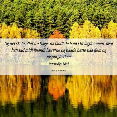 Picture 06 - Lukas 2:46 DA1871 - Og det skete efter tre Dage, da fandt de ham i - Bible Verse Picture