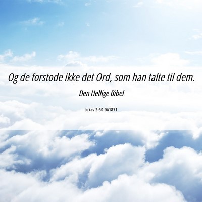 Picture 06 - Lukas 2:50 DA1871 - Og de forstode ikke det Ord, som han talte til - Bible Verse Picture