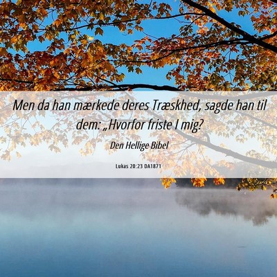 Picture 06 - Lukas 20:23 DA1871 - Men da han mærkede deres Træskhed, sagde han - Bible Verse Picture