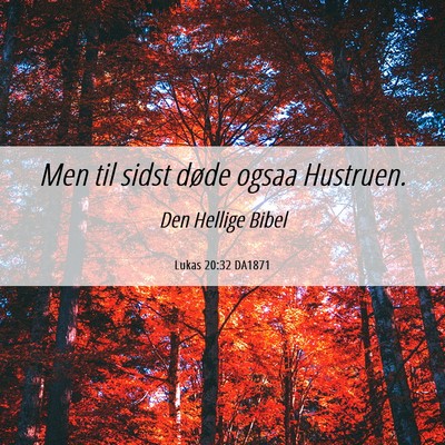 Picture 06 - Lukas 20:32 DA1871 - Men til sidst døde ogsaa - Bible Verse Picture