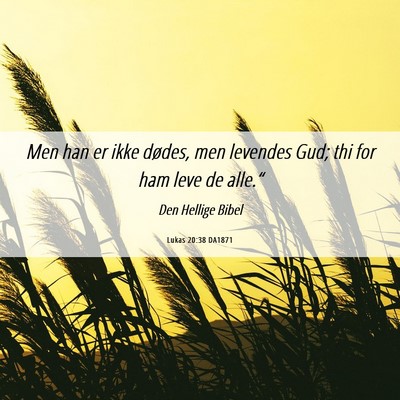 Picture 06 - Lukas 20:38 DA1871 - Men han er ikke dødes, men levendes Gud; thi for - Bible Verse Picture