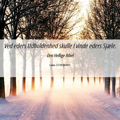 Picture 06 - Lukas 21:19 DA1871 - Ved eders Udholdenhed skulle I vinde eders - Bible Verse Picture