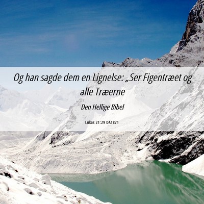 Picture 06 - Lukas 21:29 DA1871 - Og han sagde dem en Lignelse: „Ser Figentræet - Bible Verse Picture