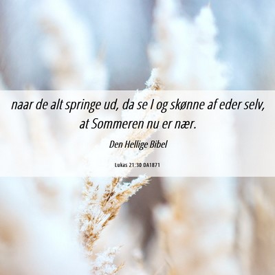 Picture 06 - Lukas 21:30 DA1871 - naar de alt springe ud, da se I og skønne af - Bible Verse Picture