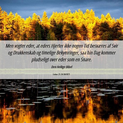 Picture 06 - Lukas 21:34 DA1871 - Men vogter eder, at eders Hjerter ikke nogen Tid - Bible Verse Picture