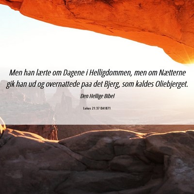 Picture 06 - Lukas 21:37 DA1871 - Men han lærte om Dagene i Helligdommen, men om - Bible Verse Picture