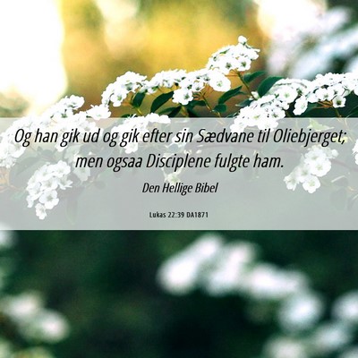 Picture 06 - Lukas 22:39 DA1871 - Og han gik ud og gik efter sin Sædvane til - Bible Verse Picture