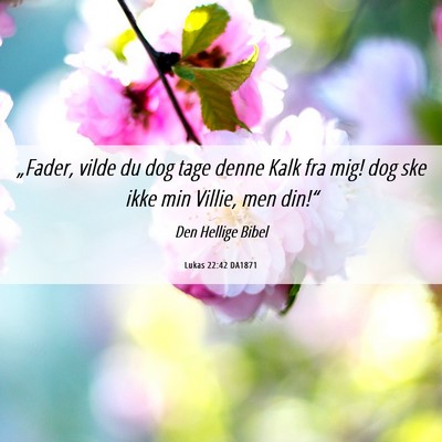 Picture 06 - Lukas 22:42 DA1871 - „Fader, vilde du dog tage denne Kalk fra mig! - Bible Verse Picture
