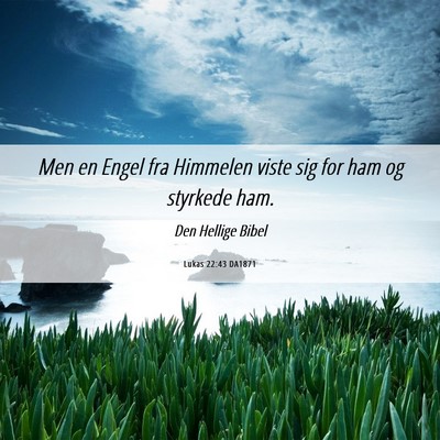 Picture 06 - Lukas 22:43 DA1871 - Men en Engel fra Himmelen viste sig for ham og - Bible Verse Picture
