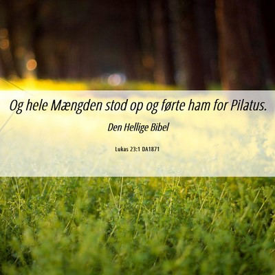 Picture 06 - Lukas 23:1 DA1871 - Og hele Mængden stod op og førte ham for - Bible Verse Picture