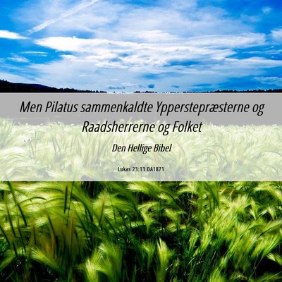 Picture 06 - Lukas 23:13 DA1871 - Men Pilatus sammenkaldte Ypperstepræsterne og - Bible Verse Picture