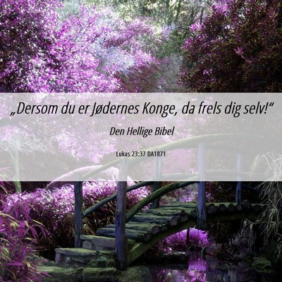 Picture 06 - Lukas 23:37 DA1871 - „Dersom du er Jødernes Konge, da frels dig - Bible Verse Picture