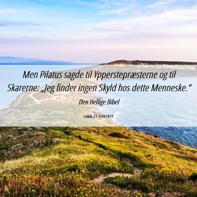 Picture 06 - Lukas 23:4 DA1871 - Men Pilatus sagde til Ypperstepræsterne og til - Bible Verse Picture