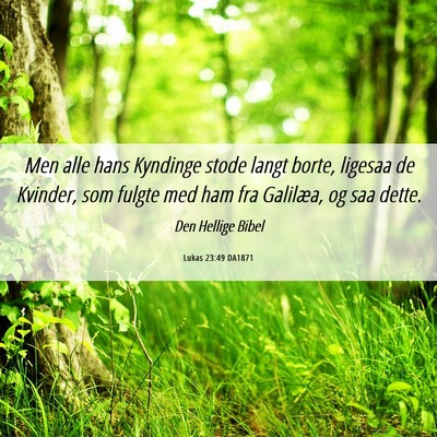 Picture 06 - Lukas 23:49 DA1871 - Men alle hans Kyndinge stode langt borte, ligesaa - Bible Verse Picture