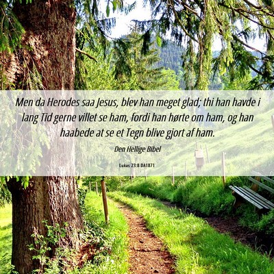 Picture 06 - Lukas 23:8 DA1871 - Men da Herodes saa Jesus, blev han meget glad; - Bible Verse Picture