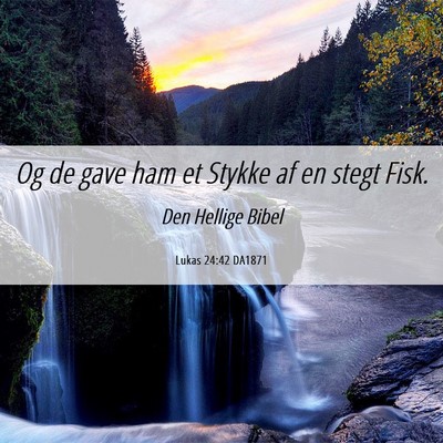 Picture 06 - Lukas 24:42 DA1871 - Og de gave ham et Stykke af en stegt - Bible Verse Picture
