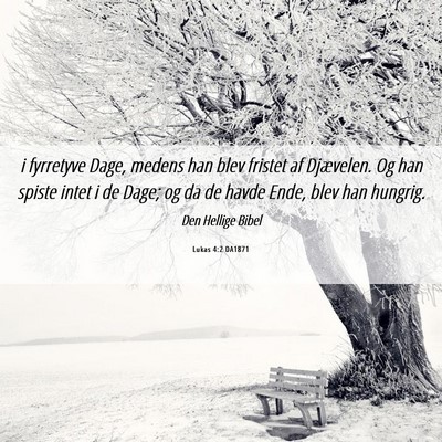 Picture 06 - Lukas 4:2 DA1871 - i fyrretyve Dage, medens han blev fristet af - Bible Verse Picture