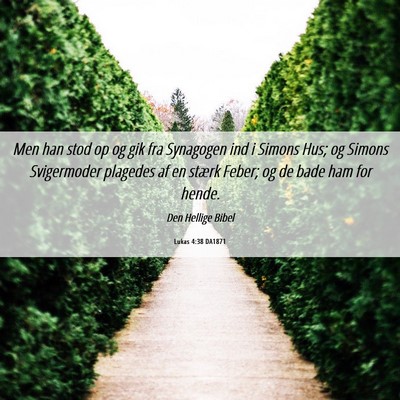 Picture 06 - Lukas 4:38 DA1871 - Men han stod op og gik fra Synagogen ind i Simons - Bible Verse Picture