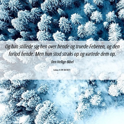 Picture 06 - Lukas 4:39 DA1871 - Og han stillede sig hen over hende og truede - Bible Verse Picture