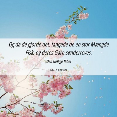 Picture 06 - Lukas 5:6 DA1871 - Og da de gjorde det, fangede de en stor Mængde - Bible Verse Picture