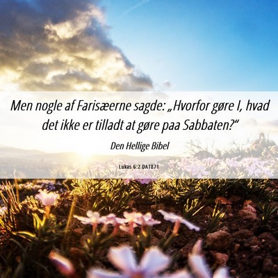 Picture 06 - Lukas 6:2 DA1871 - Men nogle af Farisæerne sagde: „Hvorfor gøre - Bible Verse Picture