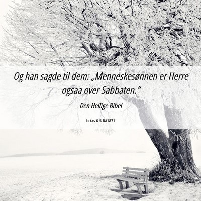Picture 06 - Lukas 6:5 DA1871 - Og han sagde til dem: „Menneskesønnen er Herre - Bible Verse Picture