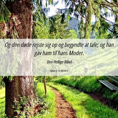 Picture 06 - Lukas 7:15 DA1871 - Og den døde rejste sig op og begyndte at tale; - Bible Verse Picture