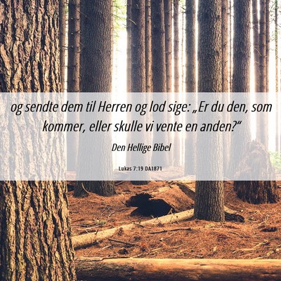 Picture 06 - Lukas 7:19 DA1871 - og sendte dem til Herren og lod sige: „Er du - Bible Verse Picture